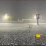 Inema alerta para...