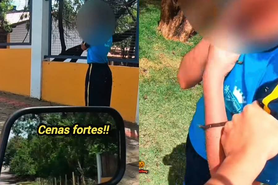 Motociclista enfrenta enxame e sofre 40 picadas para resgatar menina em Ibirité