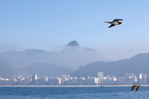 Rio de Janeiro atinge nível 2 do protocolo de calor com termômetros em 36°C