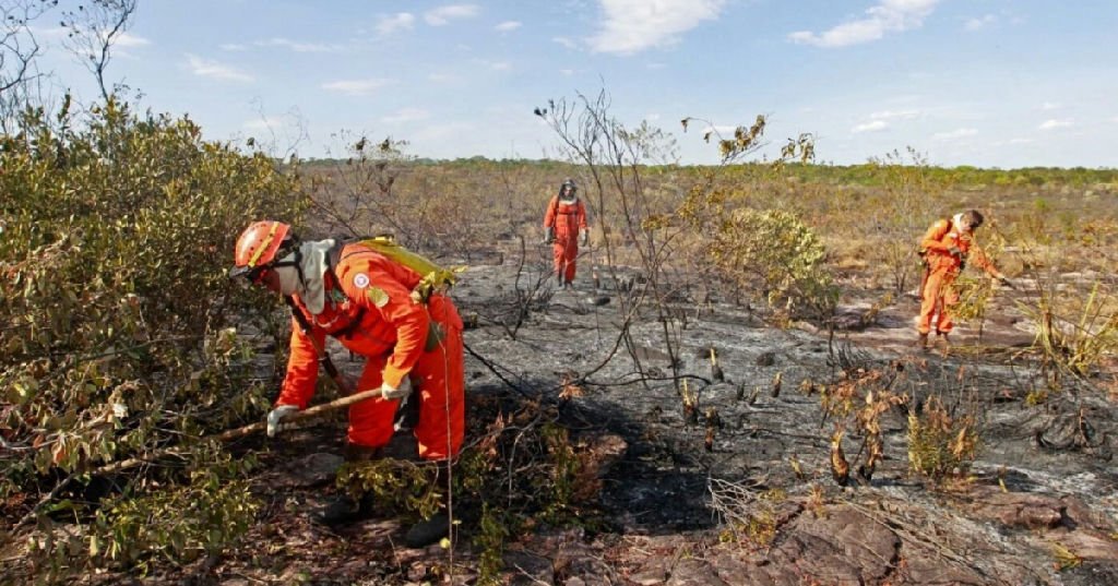 Bahia reforça medidas de prevenção contra o El Niño diante de previsão de calor extremo