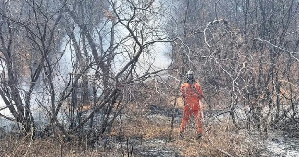 Bombeiros combatem incêndios em vegetação e ônibus na cidade de Bom Jesus da Lapa