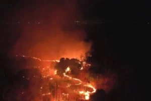 Bombeiros e Exército combatem fogo que atingiu oito hectares da Embrapa em Teresina
