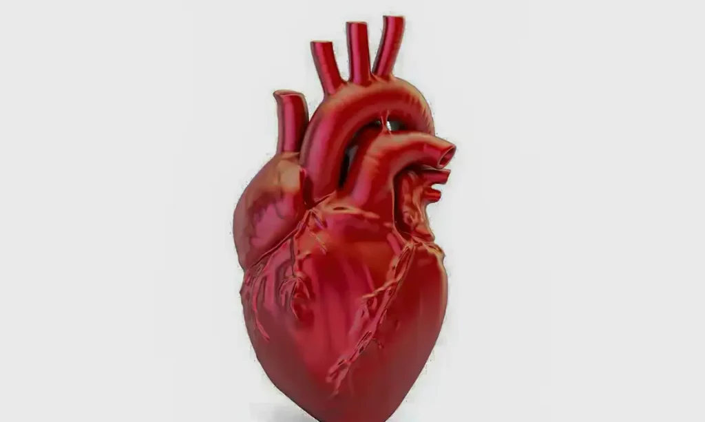 Doenças cardiovasculares causam uma morte a cada 72 segundos no país