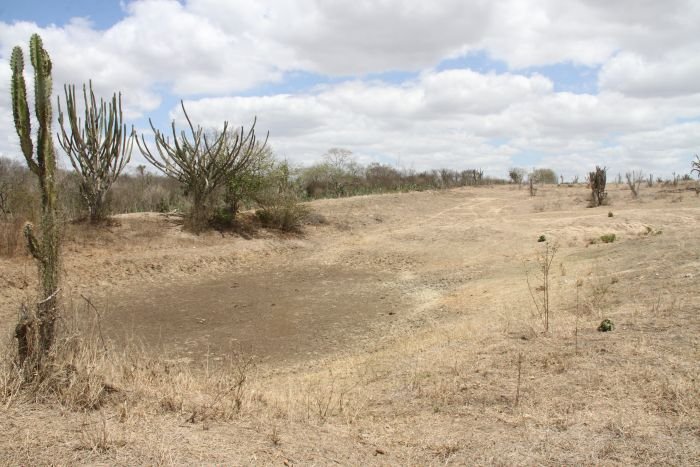 Estiagem severa esvazia reservatórios e paralisa a produção rural no território do Sisal