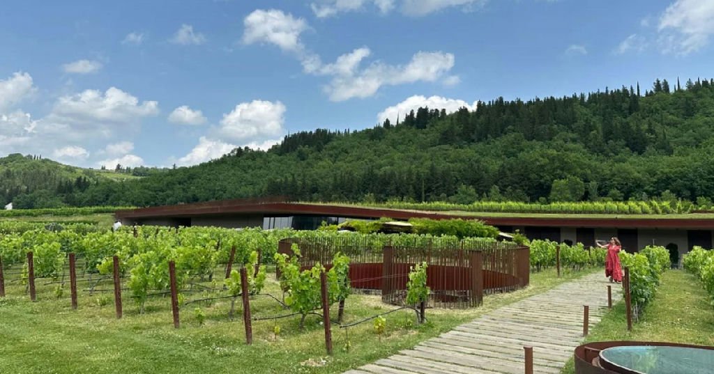 Invasão a vinícola na Itália resulta em roubo milionário de vinhos