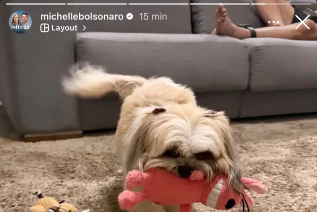 Michelle Bolsonaro publica foto com Jair Bolsonaro ao fundo em rede social
