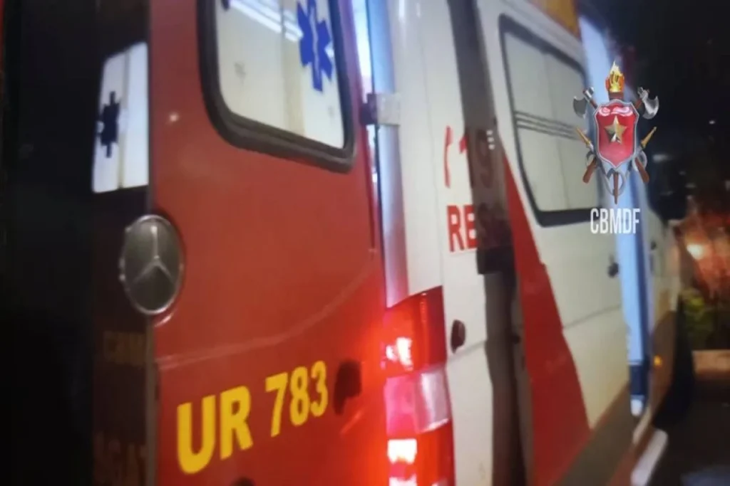 Motorista fica ferido após ônibus colidir contra poste na Br-020