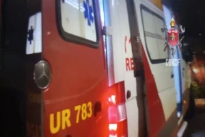Motorista fica ferido após ônibus colidir contra poste na Br-020
