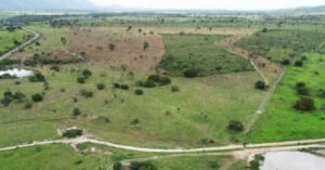 Mp-ba investiga suspeita de dano ambiental em fazenda do grupo André Guimarães