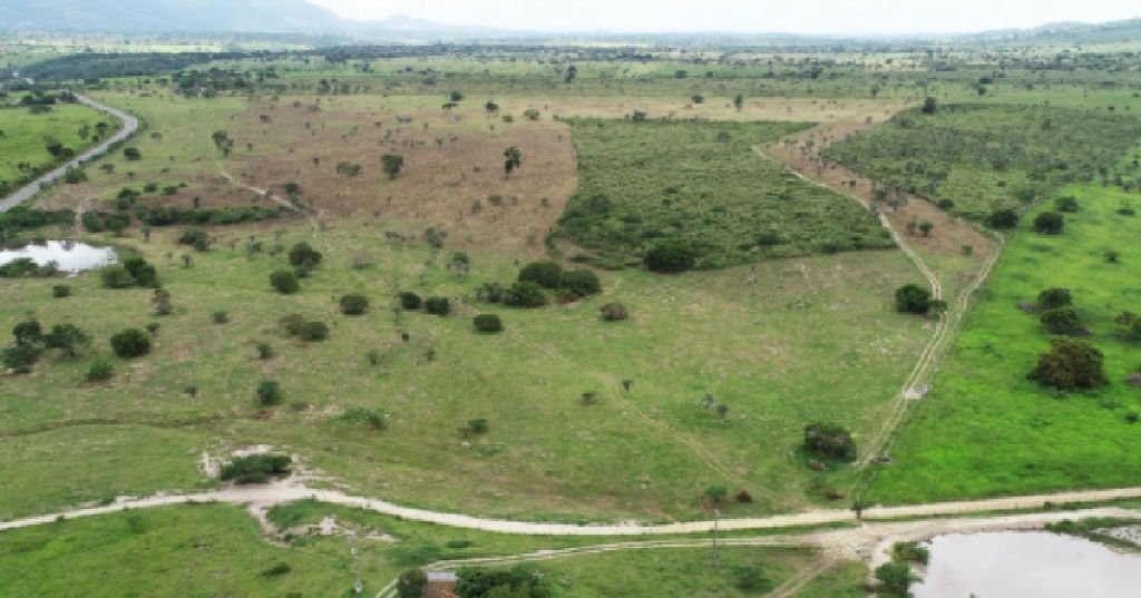 Mp-ba investiga suspeita de dano ambiental em fazenda do grupo André Guimarães