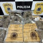 Operação policial desarticula...