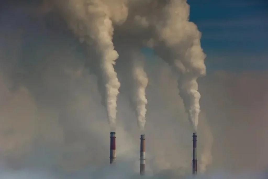 Queda no desmatamento faz Brasil registrar menor nível de emissões de gases em 8 anos em 2025
