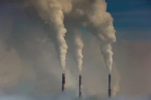 Queda no desmatamento faz Brasil registrar menor nível de emissões de gases em 8 anos em 2025