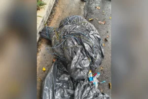 Série de corpos encontrados em sacos de lixo em São Paulo gera alerta e teorias