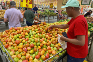 Tomate dispara 156% em Salvador e pressiona o custo da cesta básica