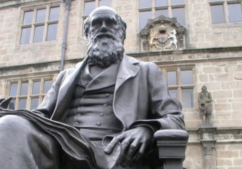 A evolução pode ser mais complexa do que Darwin imaginava