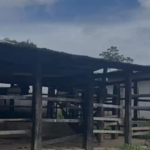 Operação Terra Santa resgata 39 pacientes em situação de cárcere privado em Candeias