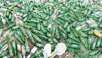 Ação de limpeza retira recorde de 263 garrafas de vidro do mar em Salvador