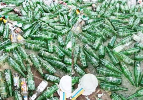 Ação de limpeza retira recorde de 263 garrafas de vidro do mar em Salvador