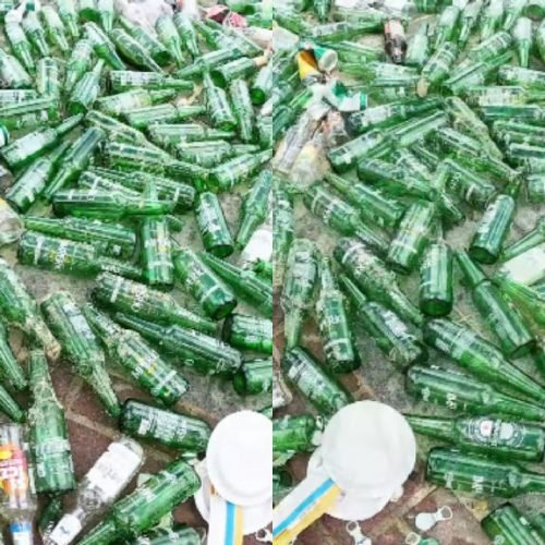 Ação de limpeza retira recorde de 263 garrafas de vidro do mar em Salvador