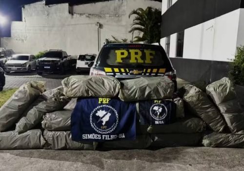 Apreensão de entorpecentes pela PRF em rodovia da Bahia após fiscalização