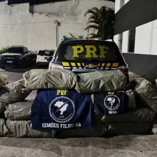Apreensão de entorpecentes pela PRF em rodovia da Bahia após fiscalização