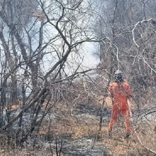 Bombeiros combatem incêndios em vegetação e ônibus na cidade de Bom Jesus da Lapa