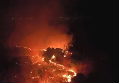 Bombeiros e Exército combatem fogo que atingiu oito hectares da Embrapa em Teresina