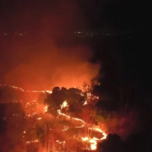 Bombeiros e Exército combatem fogo que atingiu oito hectares da Embrapa em Teresina