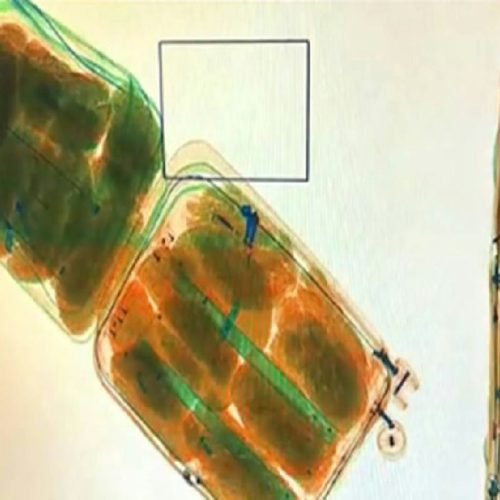 Brasileiro é preso com 24,5 kg de metanfetamina em bagagem no Aeroporto de Brasília