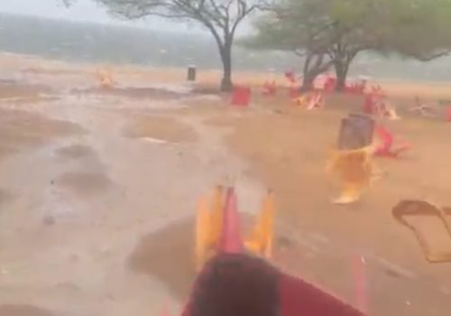 Chuva no Território do Sisal renova esperança após forte calor
