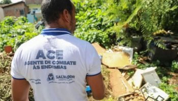 Dengue em Salvador: prefeitura intensifica ações em cinco distritos prioritários