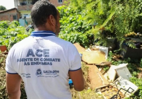 Dengue em Salvador: prefeitura intensifica ações em cinco distritos prioritários