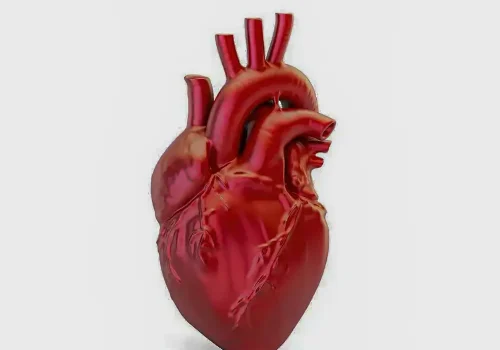 Doenças cardiovasculares causam uma morte a cada 72 segundos no país