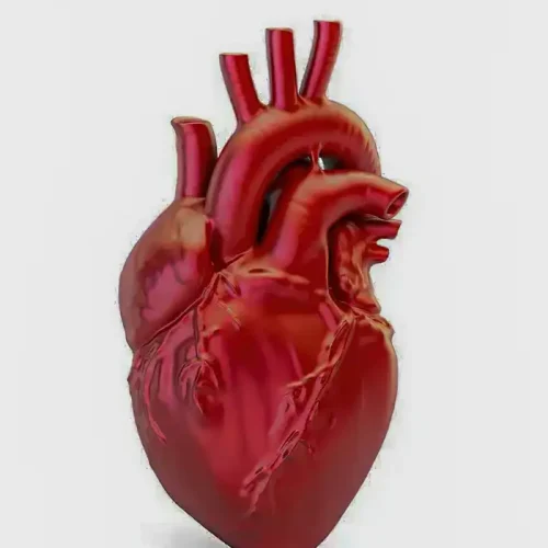 Doenças cardiovasculares causam uma morte a cada 72 segundos no país