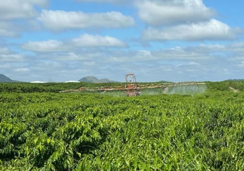 Embrapa apresenta plano nacional contra riscos do El Niño na safra 2026/2027