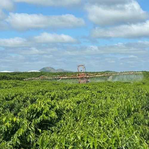 Embrapa apresenta plano nacional contra riscos do El Niño na safra 2026/2027
