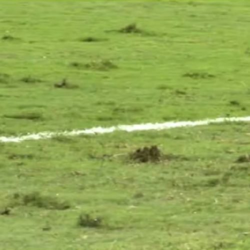 Estado precário do gramado na Austrália gera críticas durante amistoso da Seleção