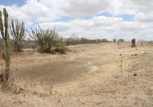 Estiagem severa esvazia reservatórios e paralisa a produção rural no território do Sisal