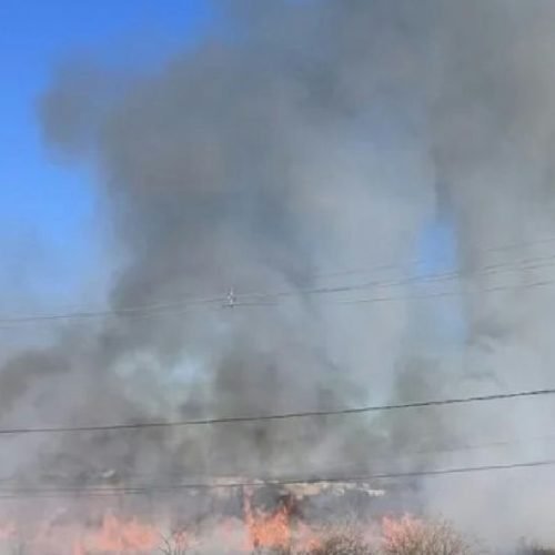 Guanambi aplica multa após flagrante de queimada em terreno urbano