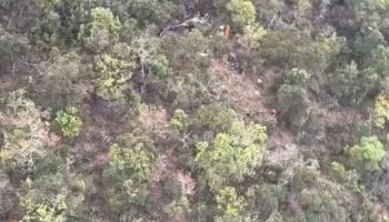Helicóptero cai em área de mata no interior de São Paulo durante trajeto para o Paraná