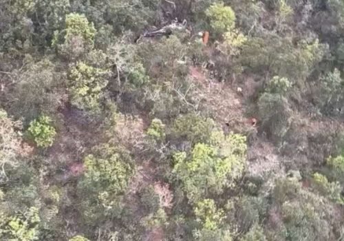 Helicóptero cai em área de mata no interior de São Paulo durante trajeto para o Paraná