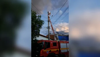 Homem sofre parada cardíaca após ataque de abelhas em Montes Claros
