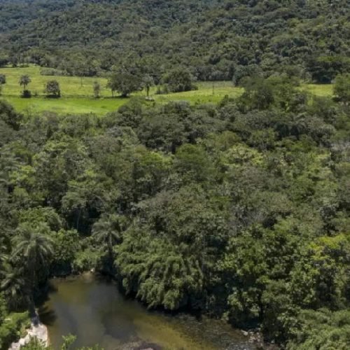 MapBiomas aponta queda de 43 por cento em vegetação fragmentada no Brasil em 38 anos