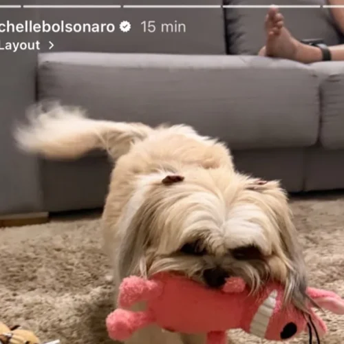 Michelle Bolsonaro publica foto com Jair Bolsonaro ao fundo em rede social