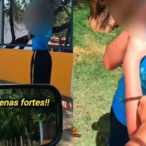 Motociclista enfrenta enxame e sofre 40 picadas para resgatar menina em Ibirité