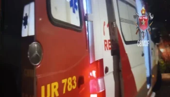 Motorista fica ferido após ônibus colidir contra poste na Br-020