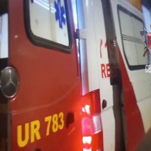 Motorista fica ferido após ônibus colidir contra poste na Br-020
