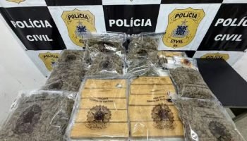 Operação policial desarticula rede de tráfico de drogas em Salvador e Jequié