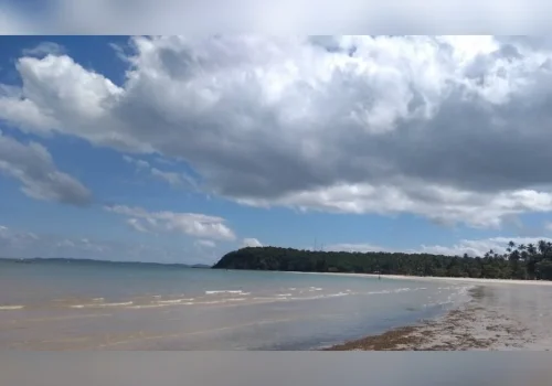 PF investiga danos ambientais e Justiça bloqueia R$ 387,6 milhões de empresas na Bahia